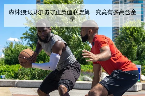 森林狼戈贝尔防守正负值联盟第一究竟有多高含金量