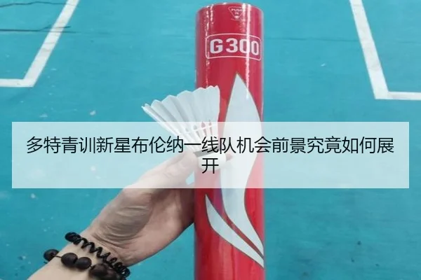 多特青训新星布伦纳一线队机会前景究竟如何展开