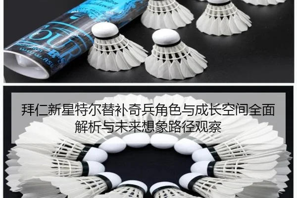 拜仁新星特尔替补奇兵角色与成长空间全面解析与未来想象路径观察